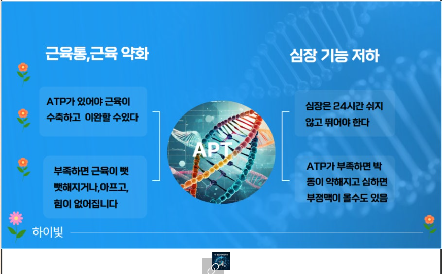 c69caa5b02658.png