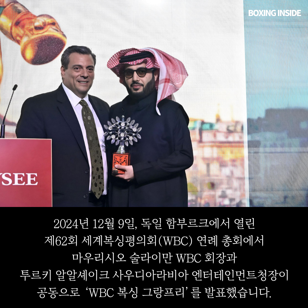 WBC Boxing Grand Prix