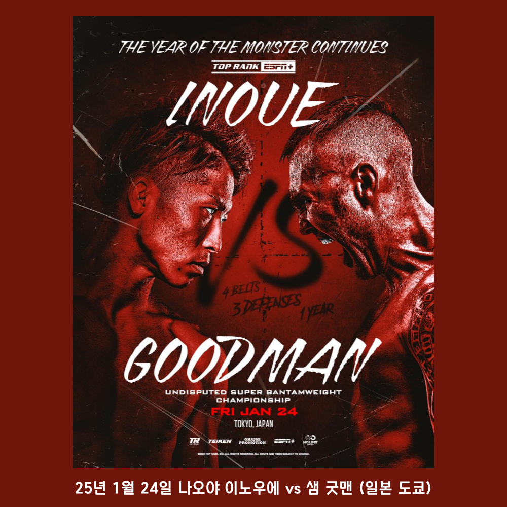 2025년 1월 주요복싱일정