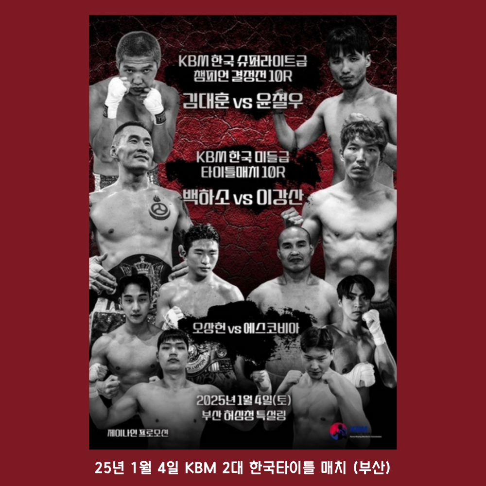 2025년 1월 주요복싱일정