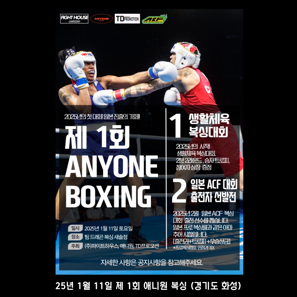 2025년 1월 주요복싱일정