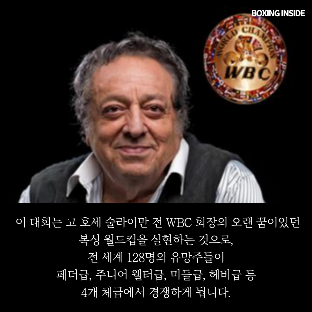 WBC Boxing Grand Prix