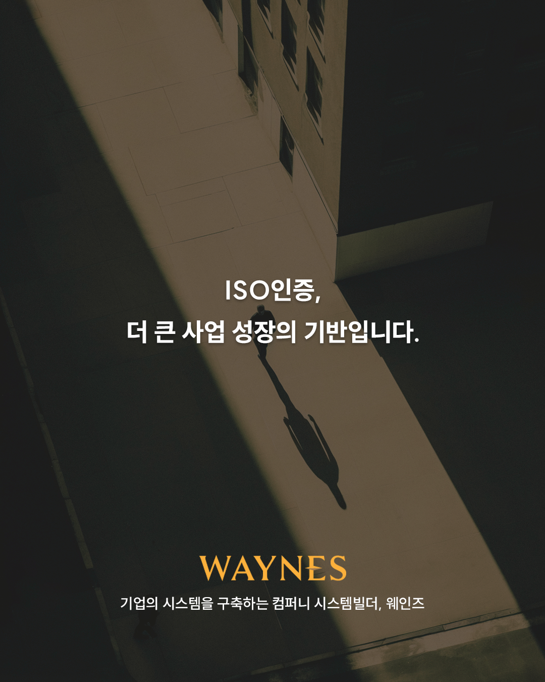 070f5da4639b9.png