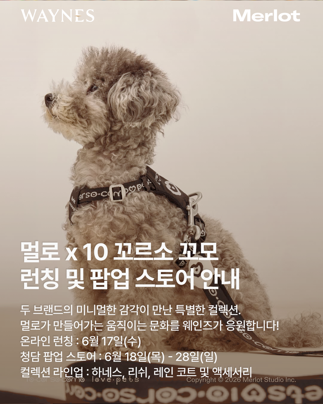 1ef94113edfd6.png