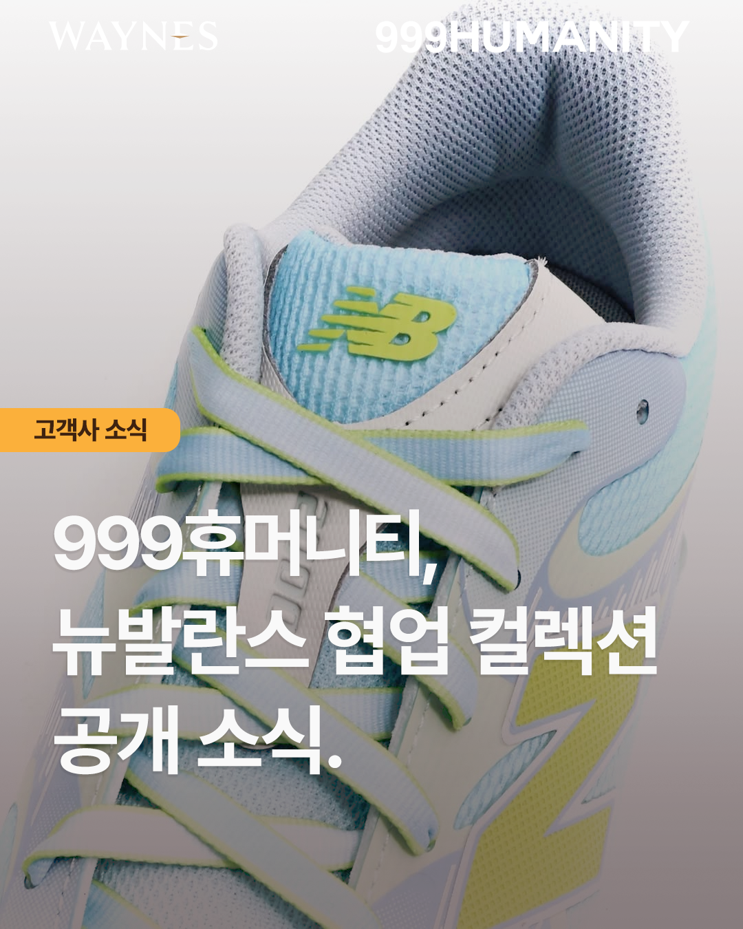 5a9a42cd38c44.png