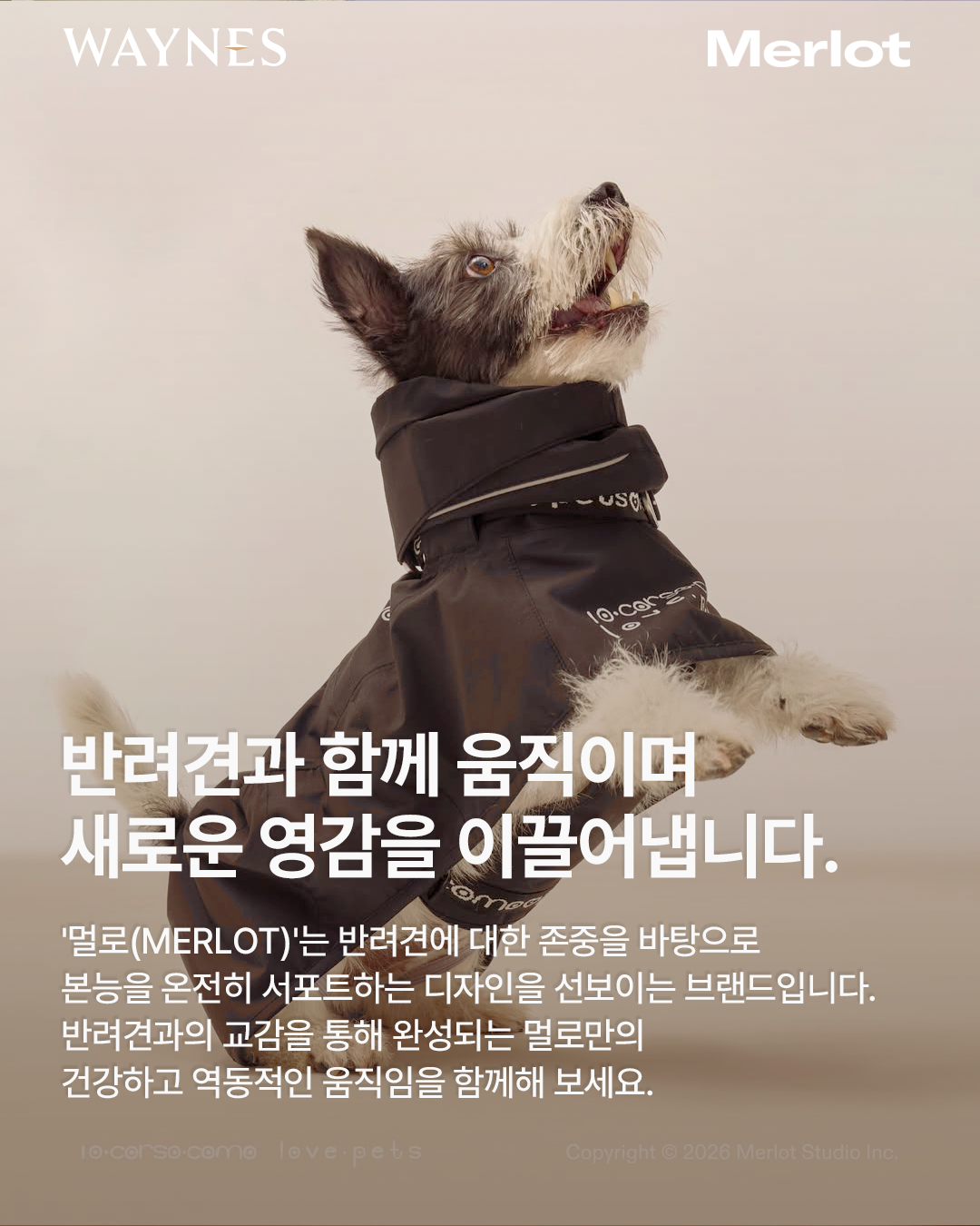 73f1e2edbdd95.png