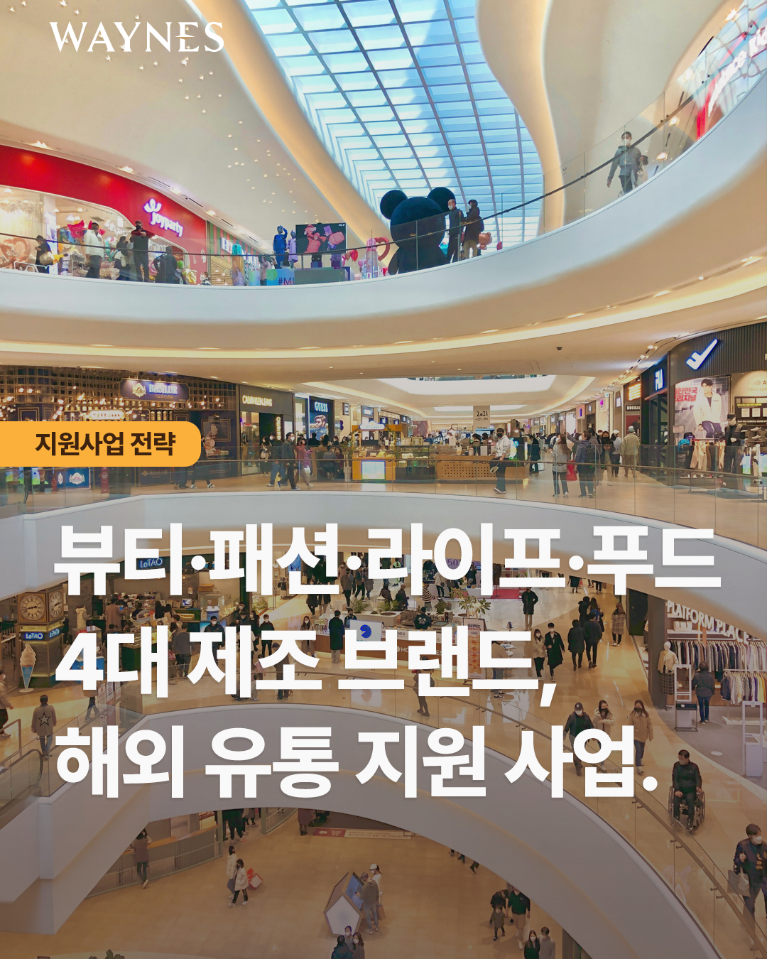 af6529aa6f83a.png