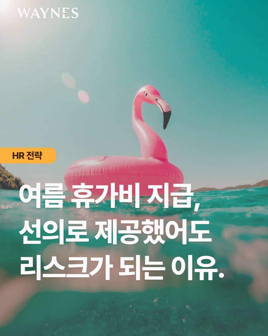 dfe88e7bd9766.png