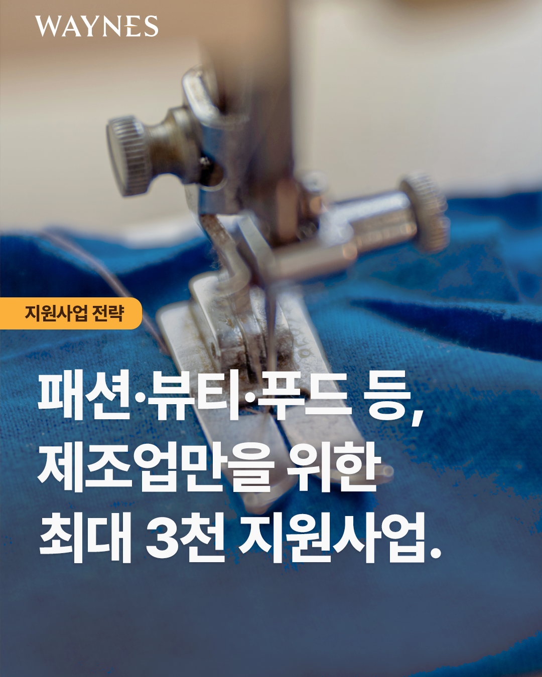 e51a95486e057.png