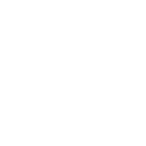 icon3