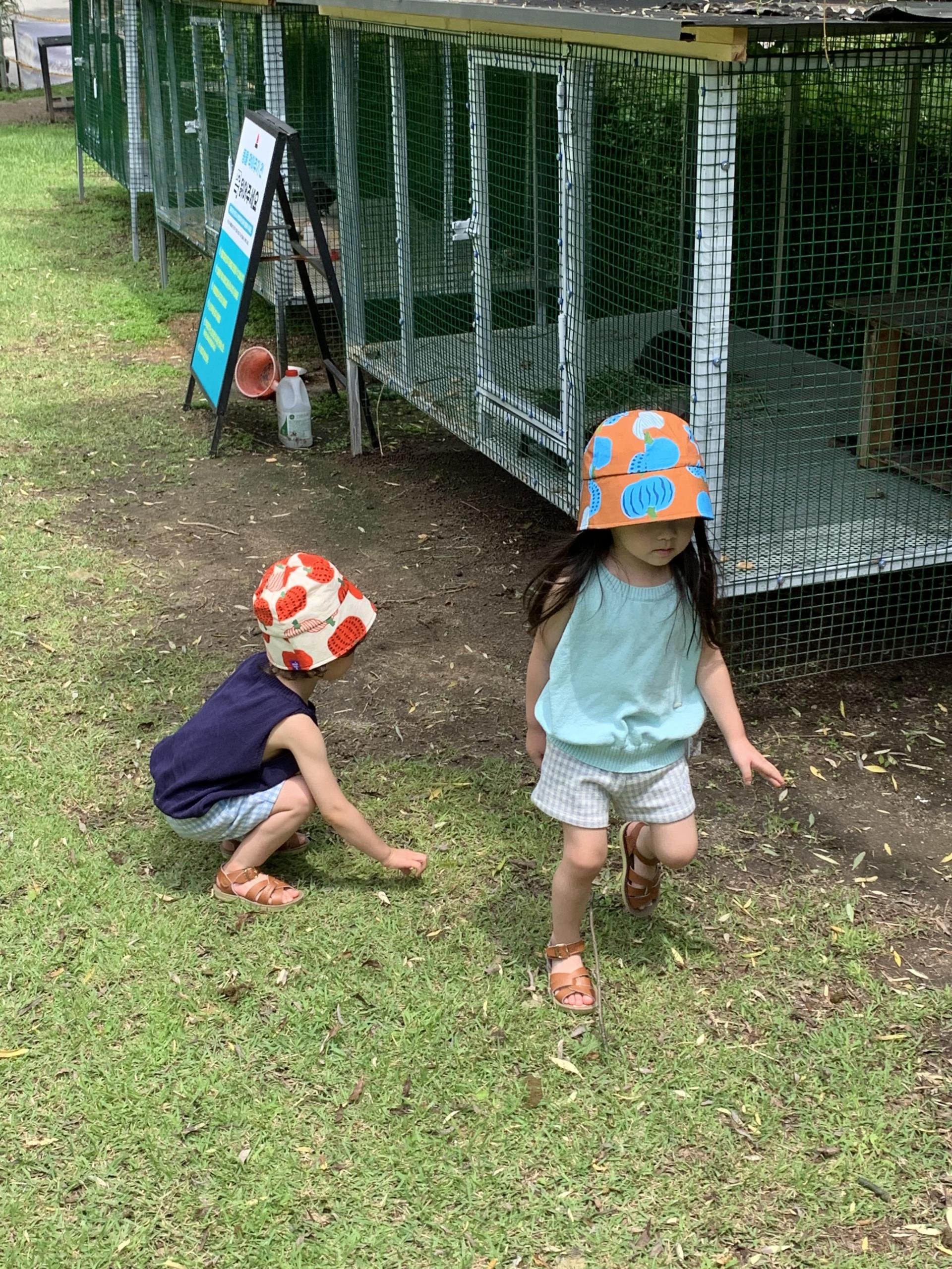 PUMPKIN SUNHAT (BLUE)