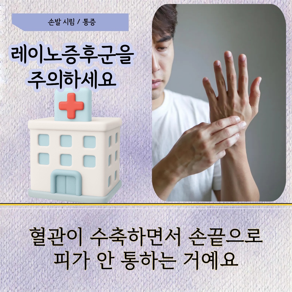 혈관이 수축하면서 손끝으로 피가 통하지 않는 증상 설명 이미지