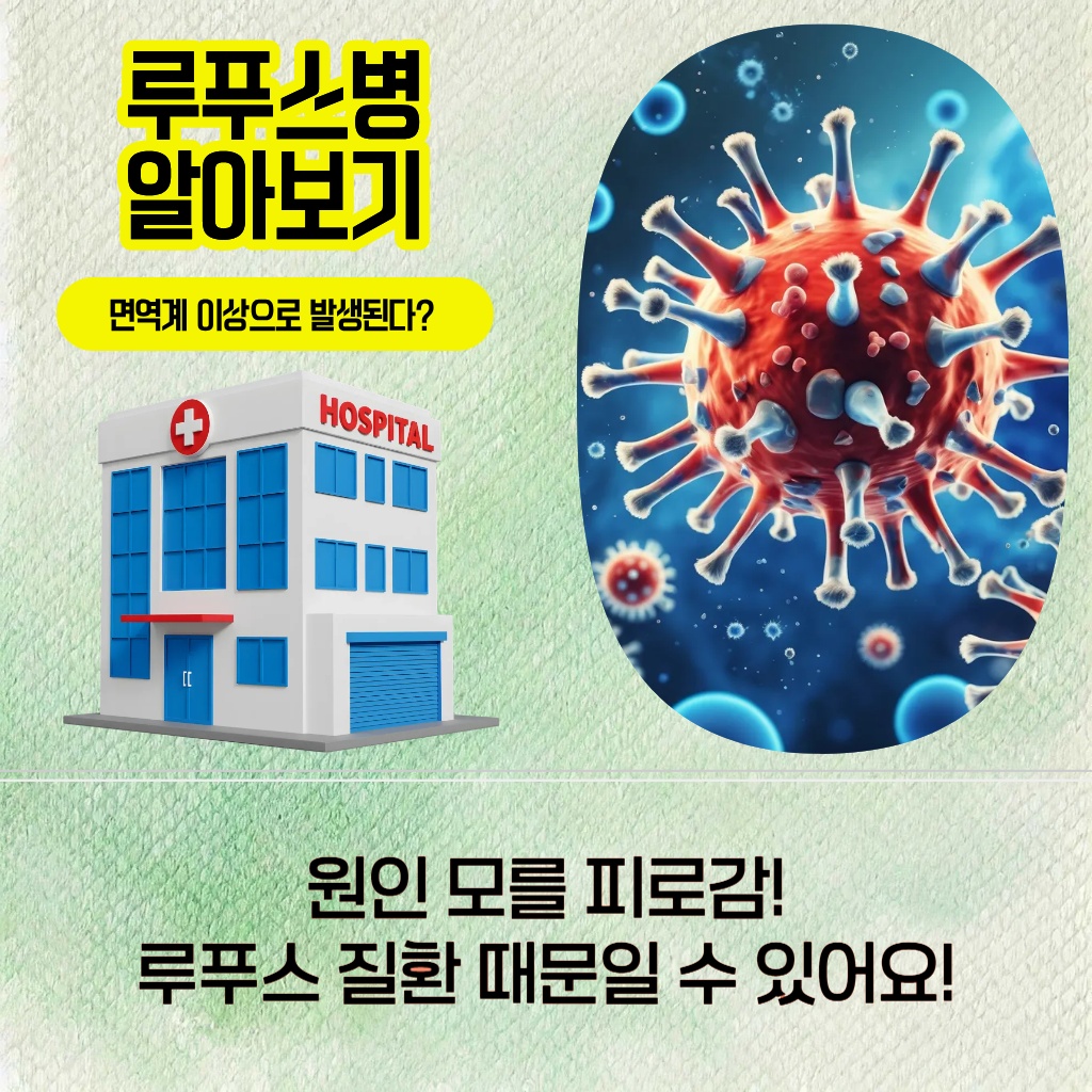 원인 모를 피로감의 원인이 될 수 있는 루푸스 질환 설명 이미지