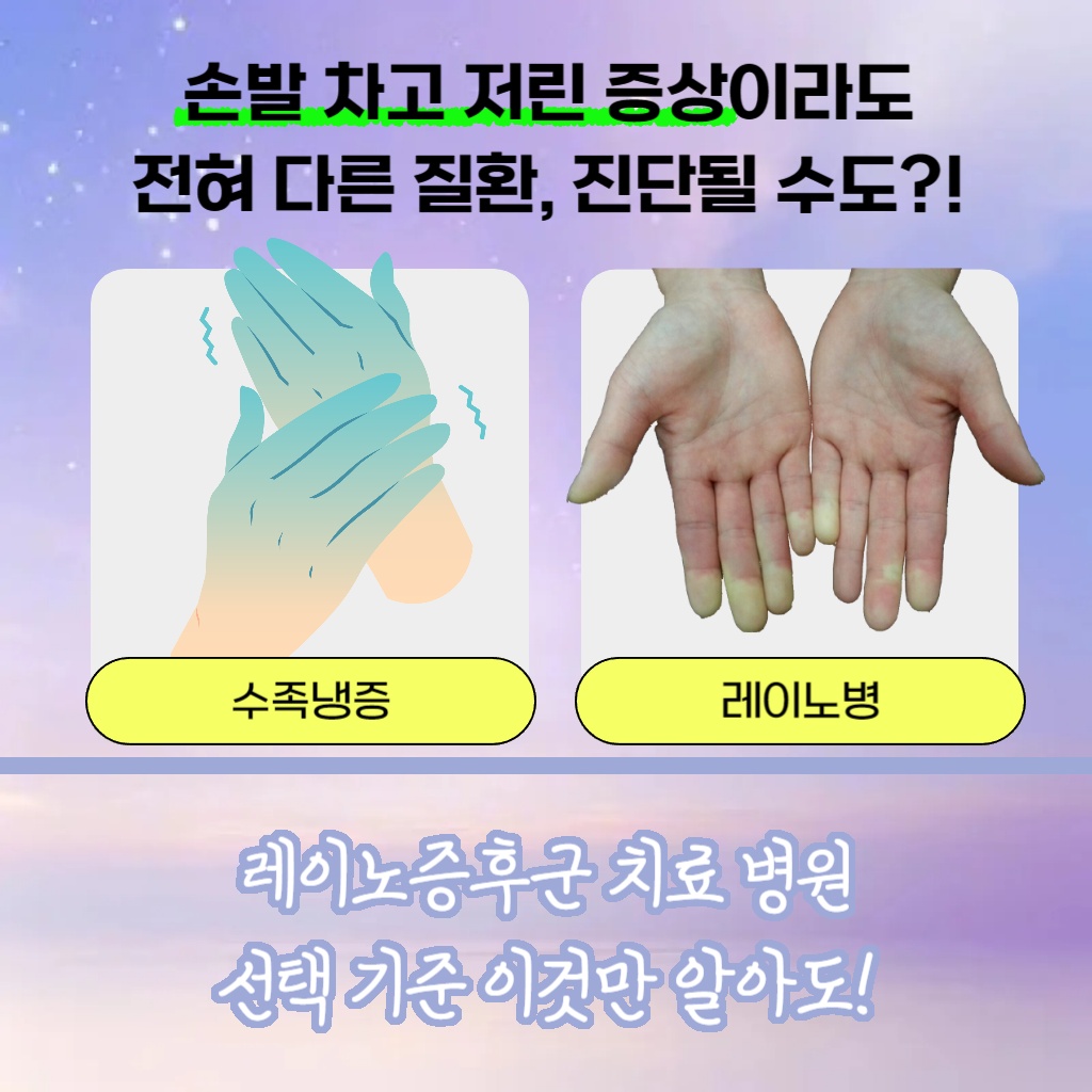 레이노증후군 치료를 위한 병원 선택 기준 설명 이미지