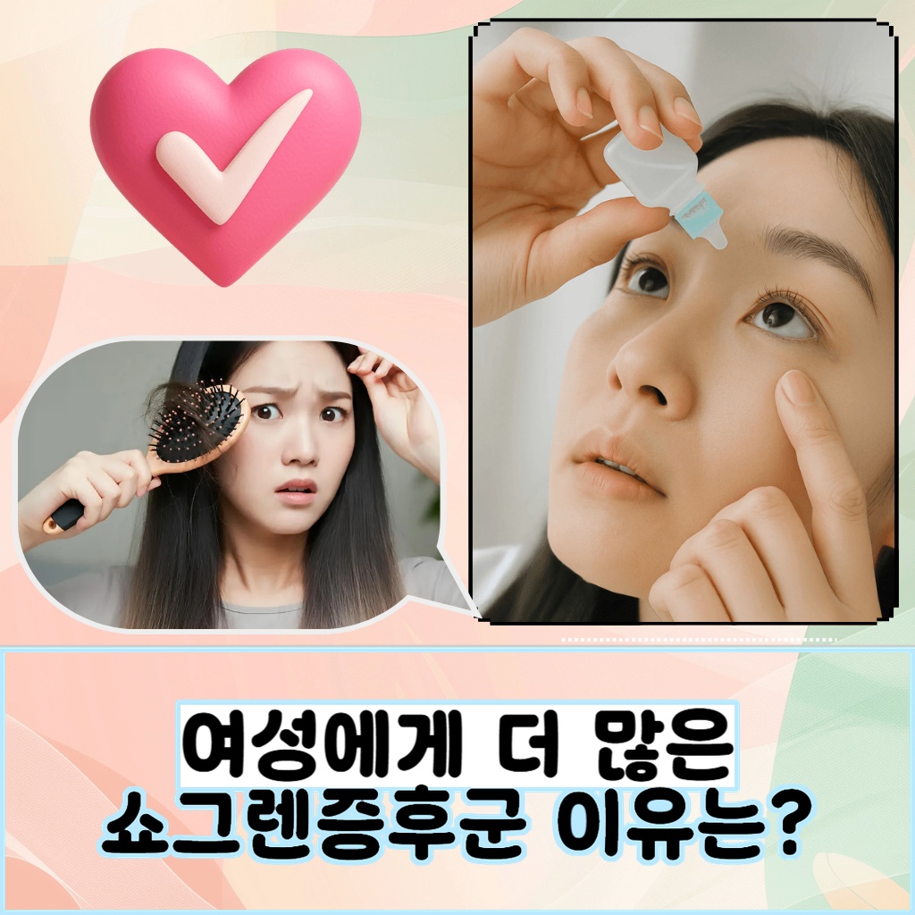 여성에게 쇼그렌증후군이 더 많이 발생하는 이유에 대한 설명 이미지