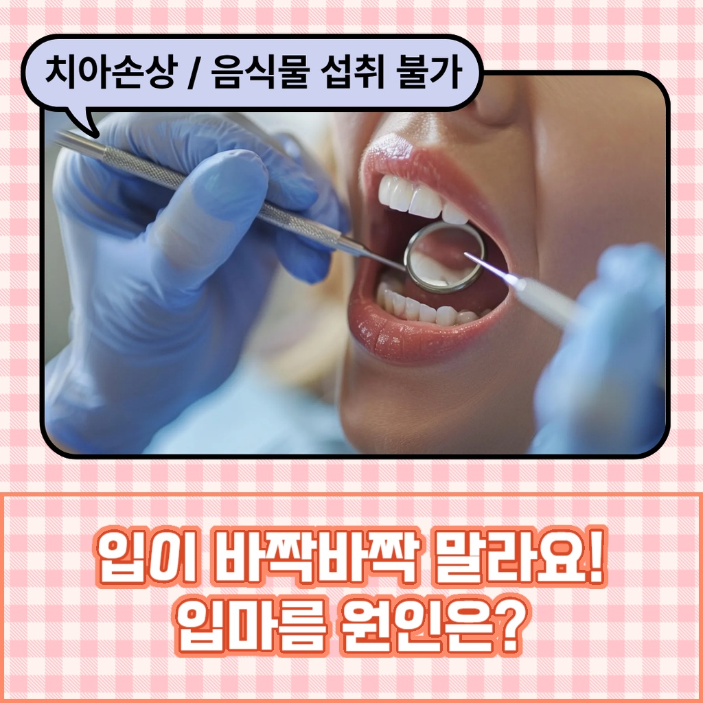 입이 바짝바짝 마르는 입마름의 원인에 대한 설명 이미지