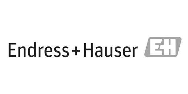 Endress+Hauser 로고
