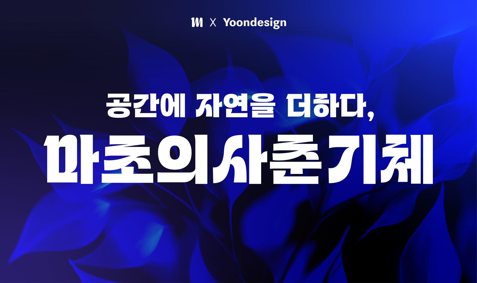 윤디자인, 마초의사춘기 전용폰트 개발