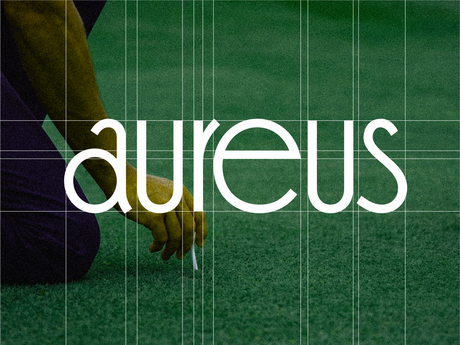 윤디자인 전용서체_aureus 1.png