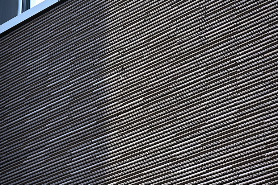 4b6c64b0a024e.jpg