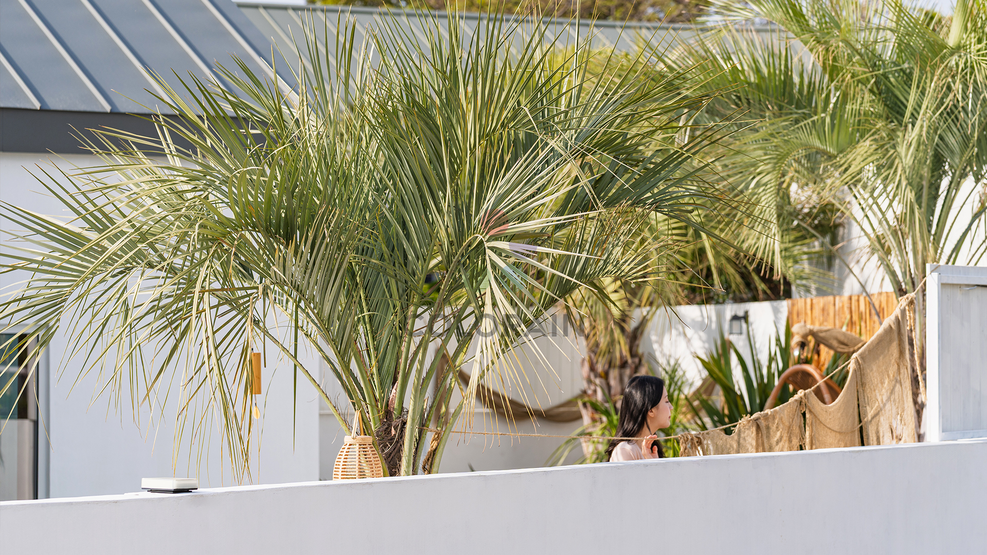 제주도 감성 펜션사진촬영