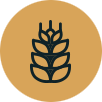 Hop icon