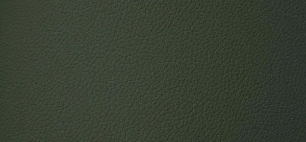 PANA