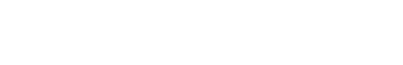SEGMENT