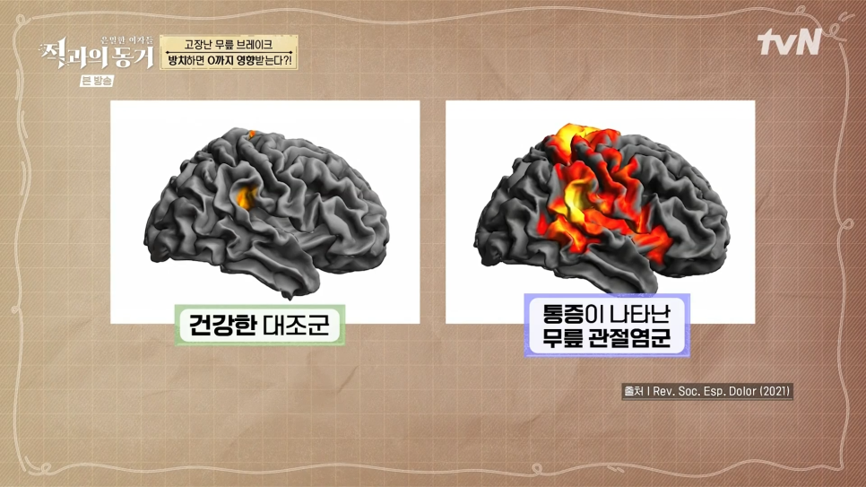 35a1716005bdc.png