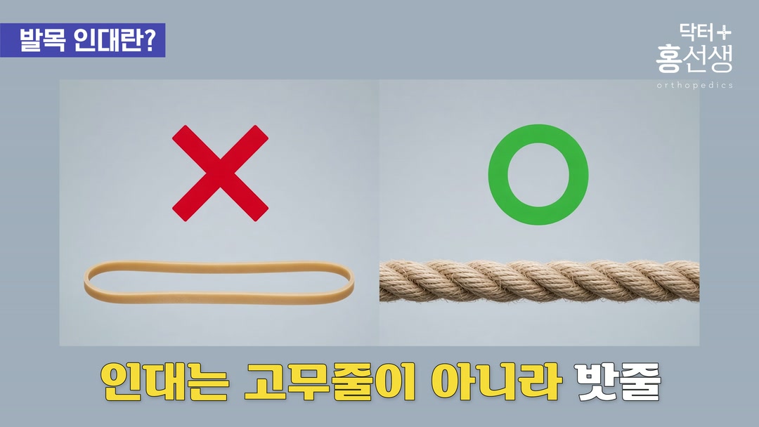 인대를 밧줄에 비유하는 설명