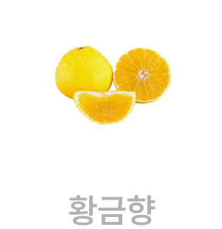 황금향