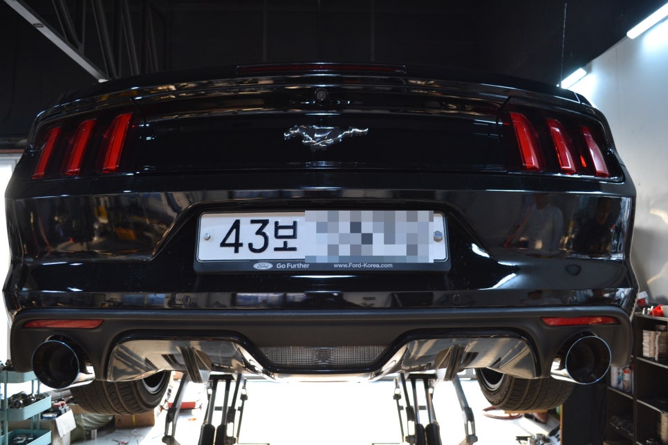 16e90c332f223.jpg
