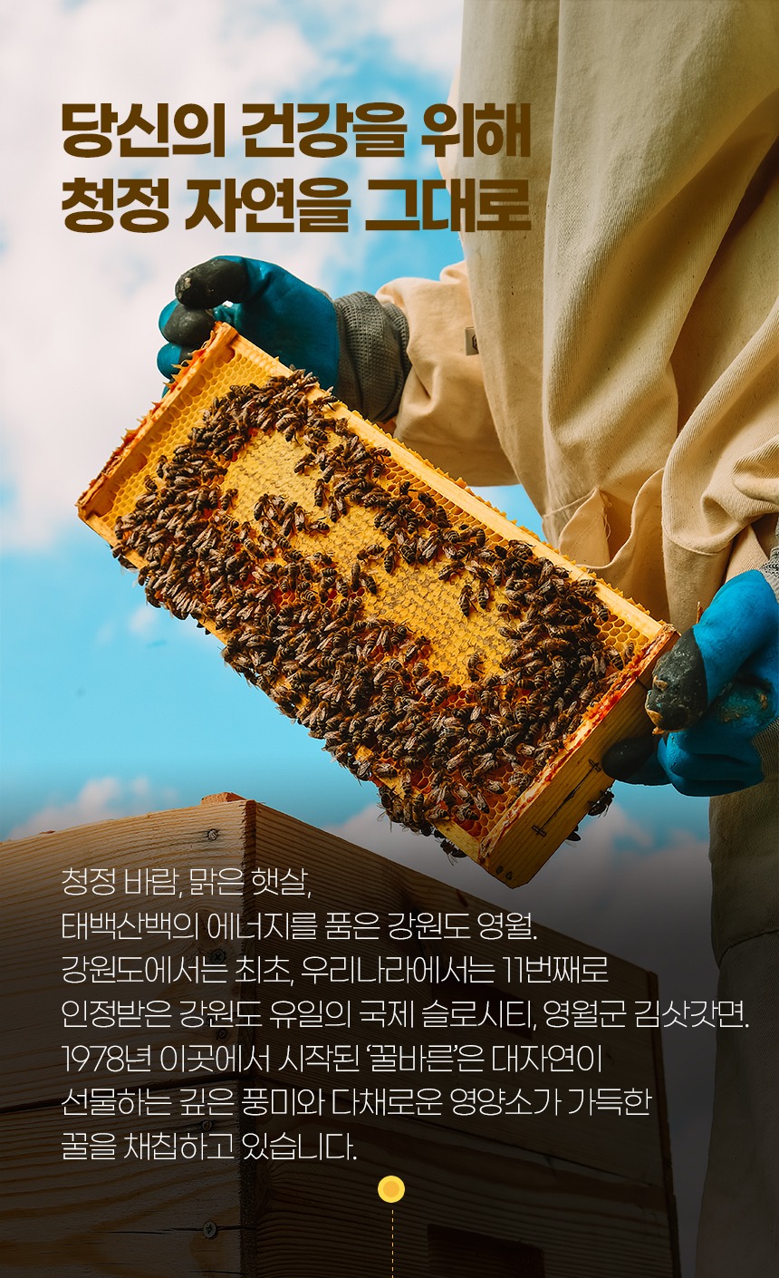 꿀바른 국산 아카시아꿀 500g / 1kg / 2.4kg