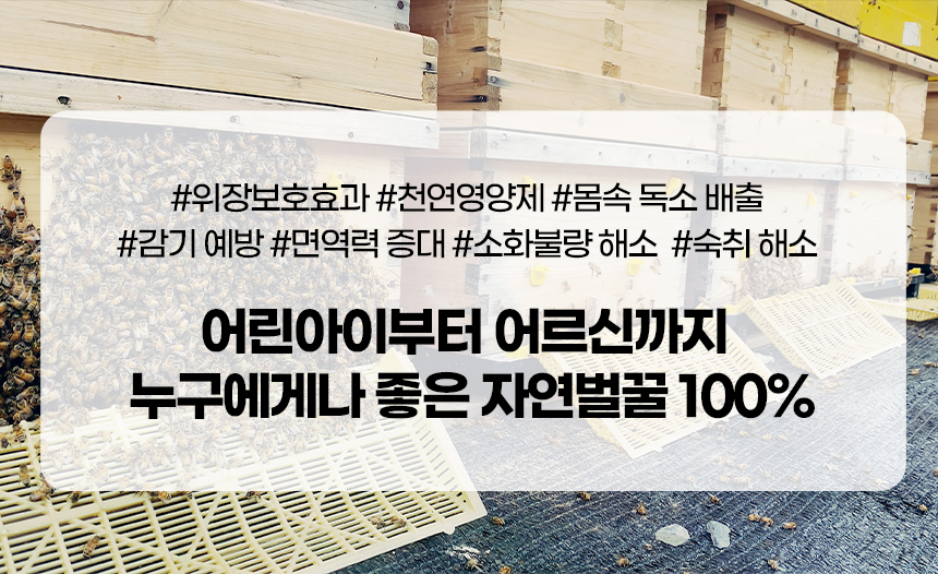 꿀바른 국산 아카시아꿀 500g / 1kg / 2.4kg
