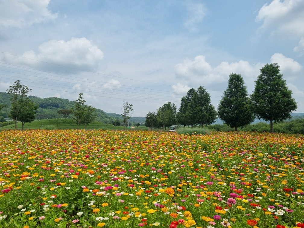 aac2810c0b2f9.jpg