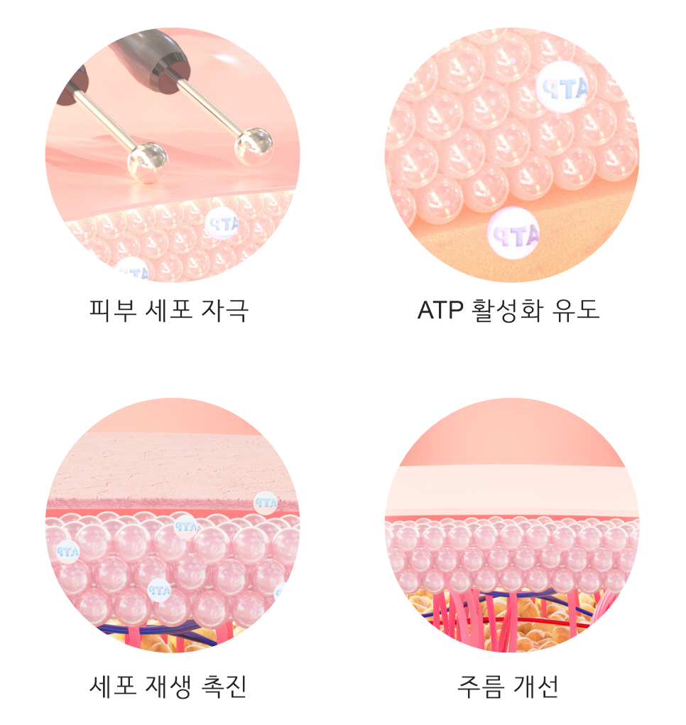 이브타이탄 리프팅 장비기전