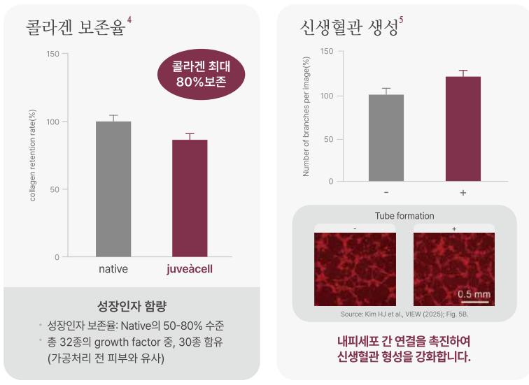 쥬브아셀 콜라겐 재생