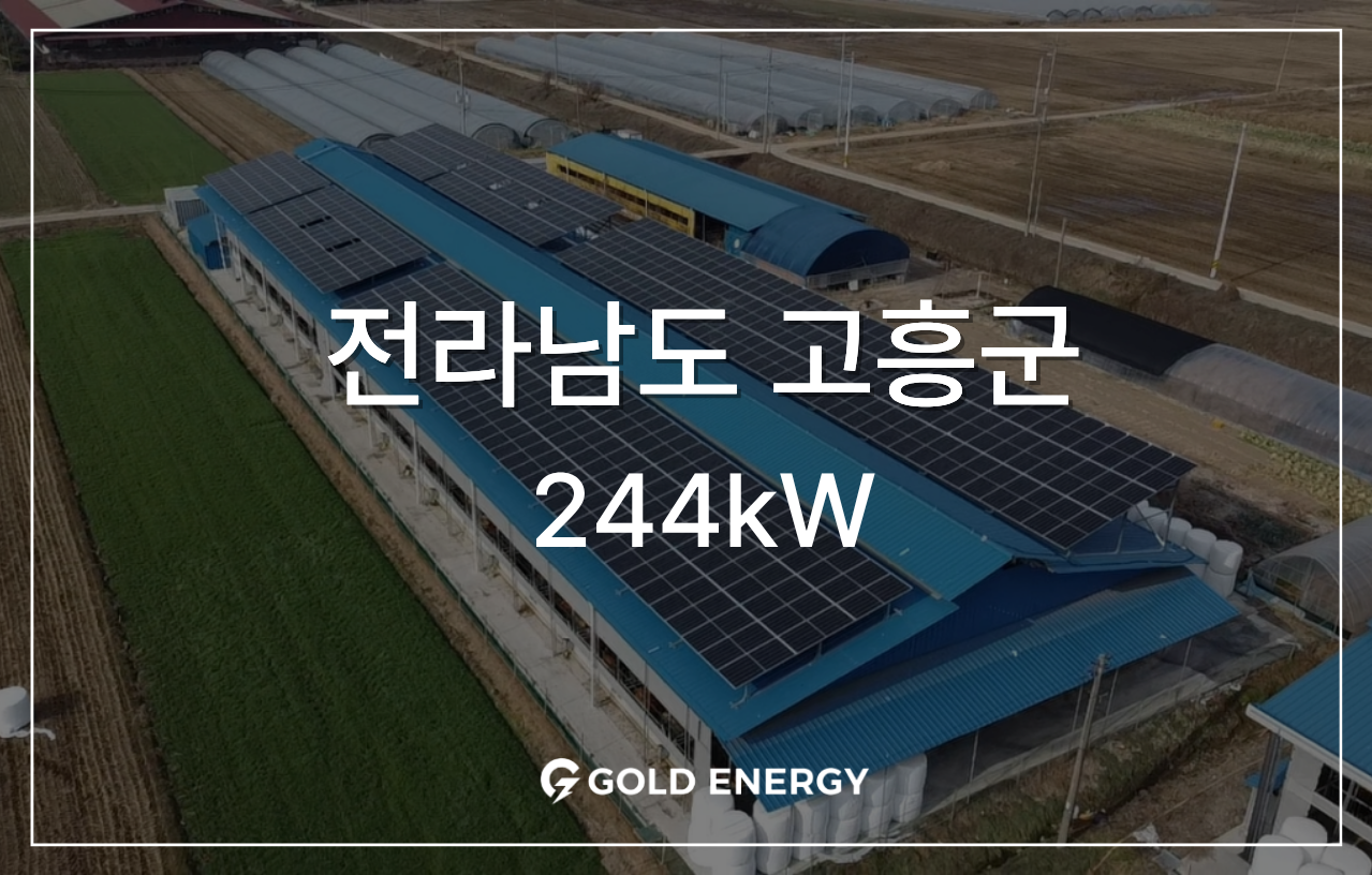d91574312ac96.png