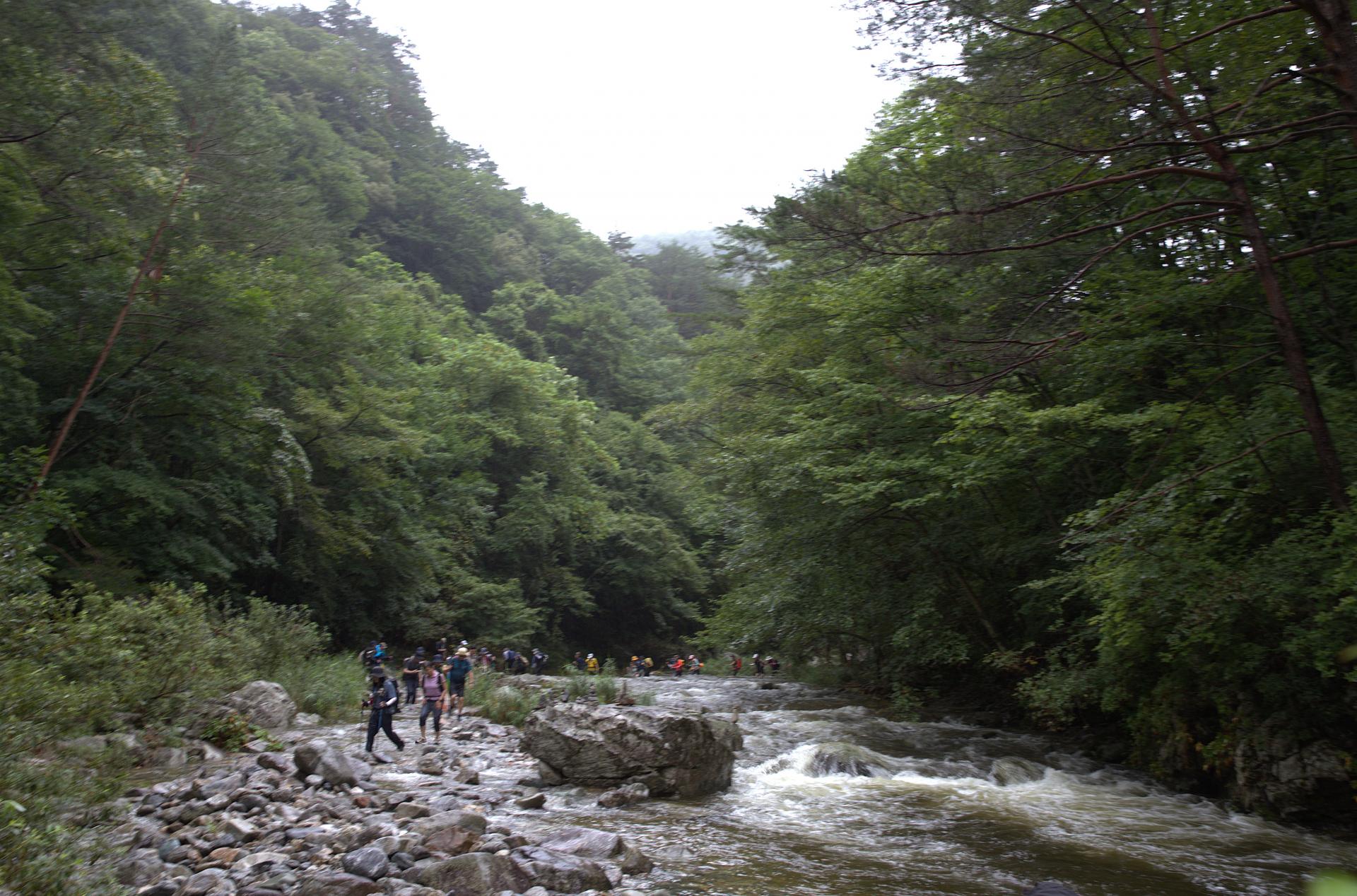 0dd37c9731782.jpg