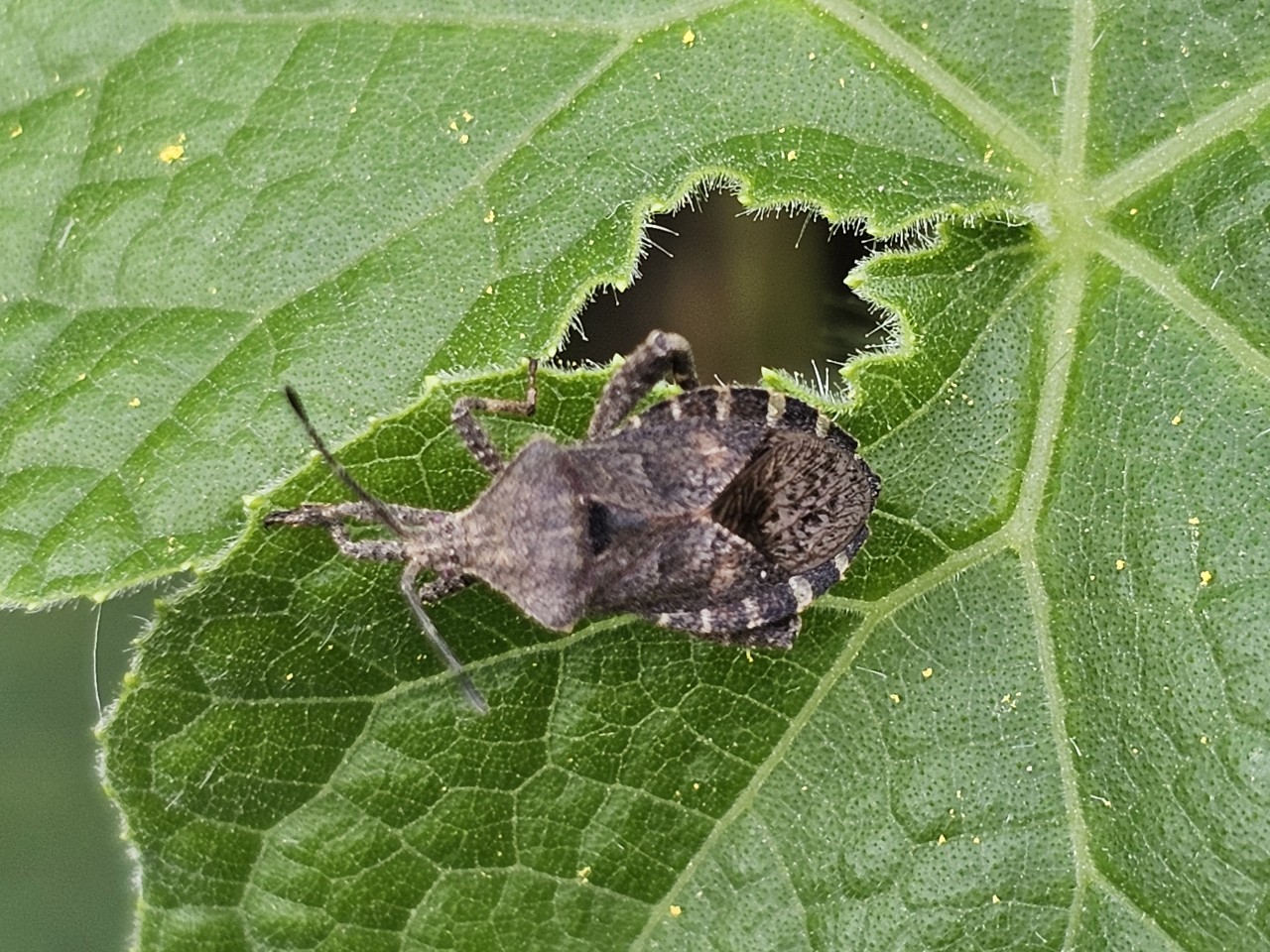 ae443005d1a6d.jpg