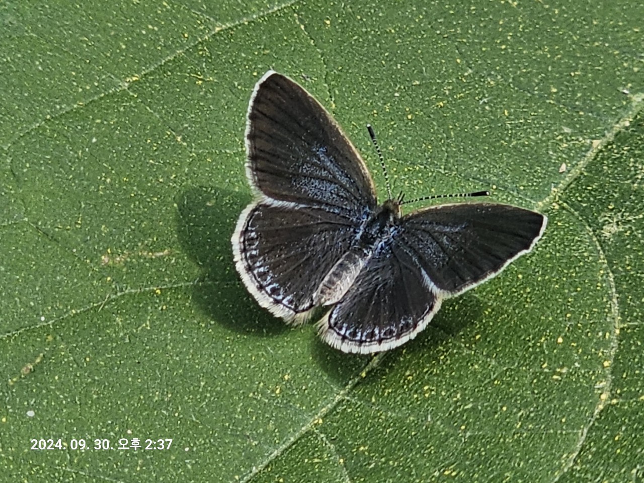 af5b5f82641a6.jpg