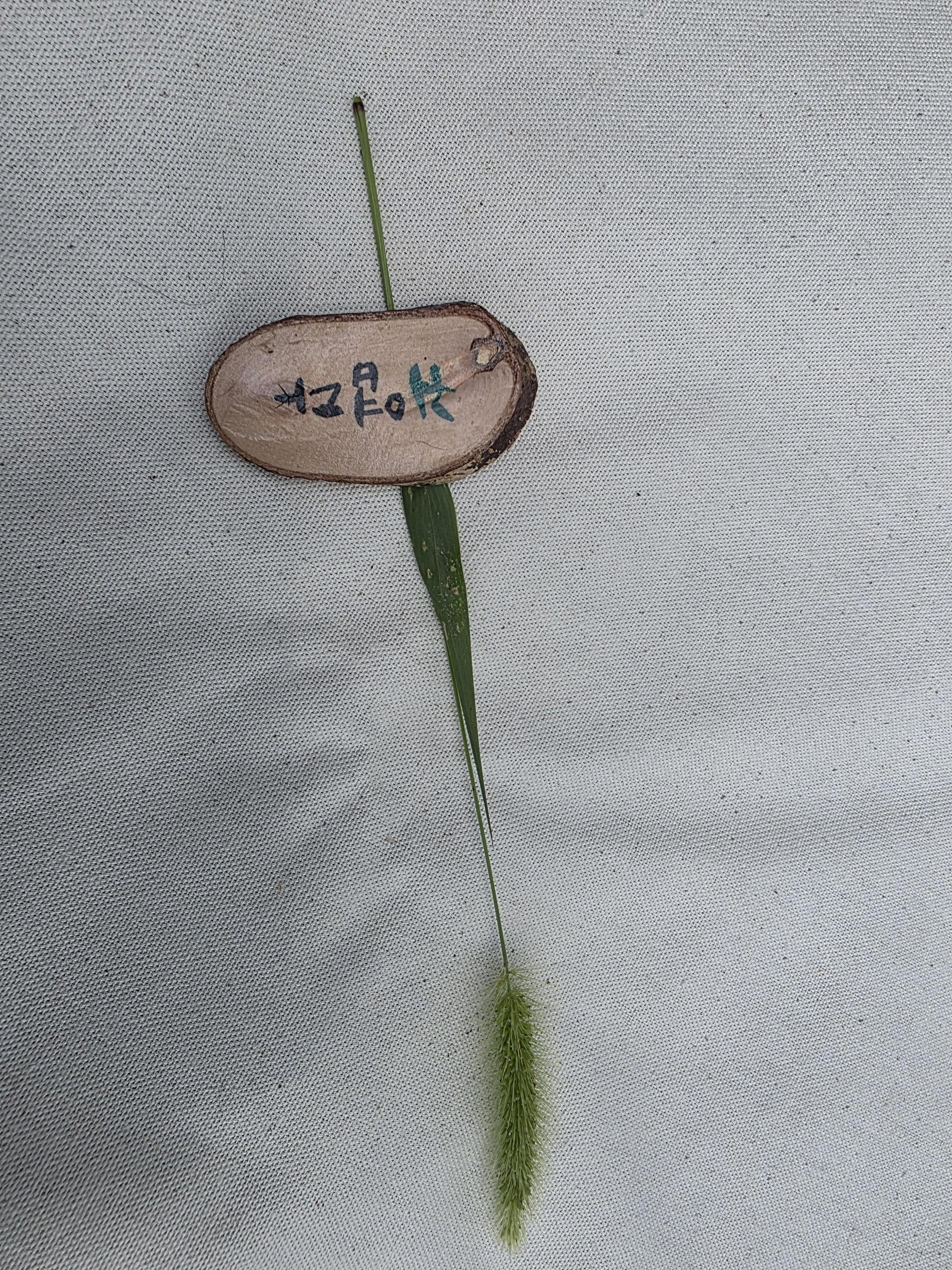 bb04379ada1c8.jpg
