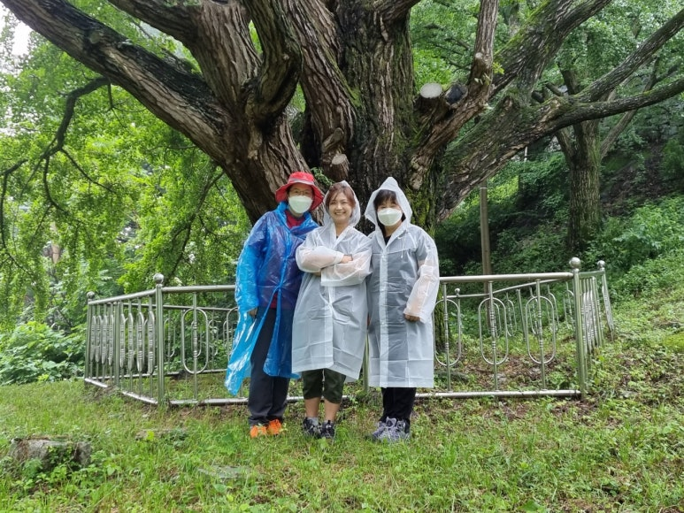 d3809207d9019.png