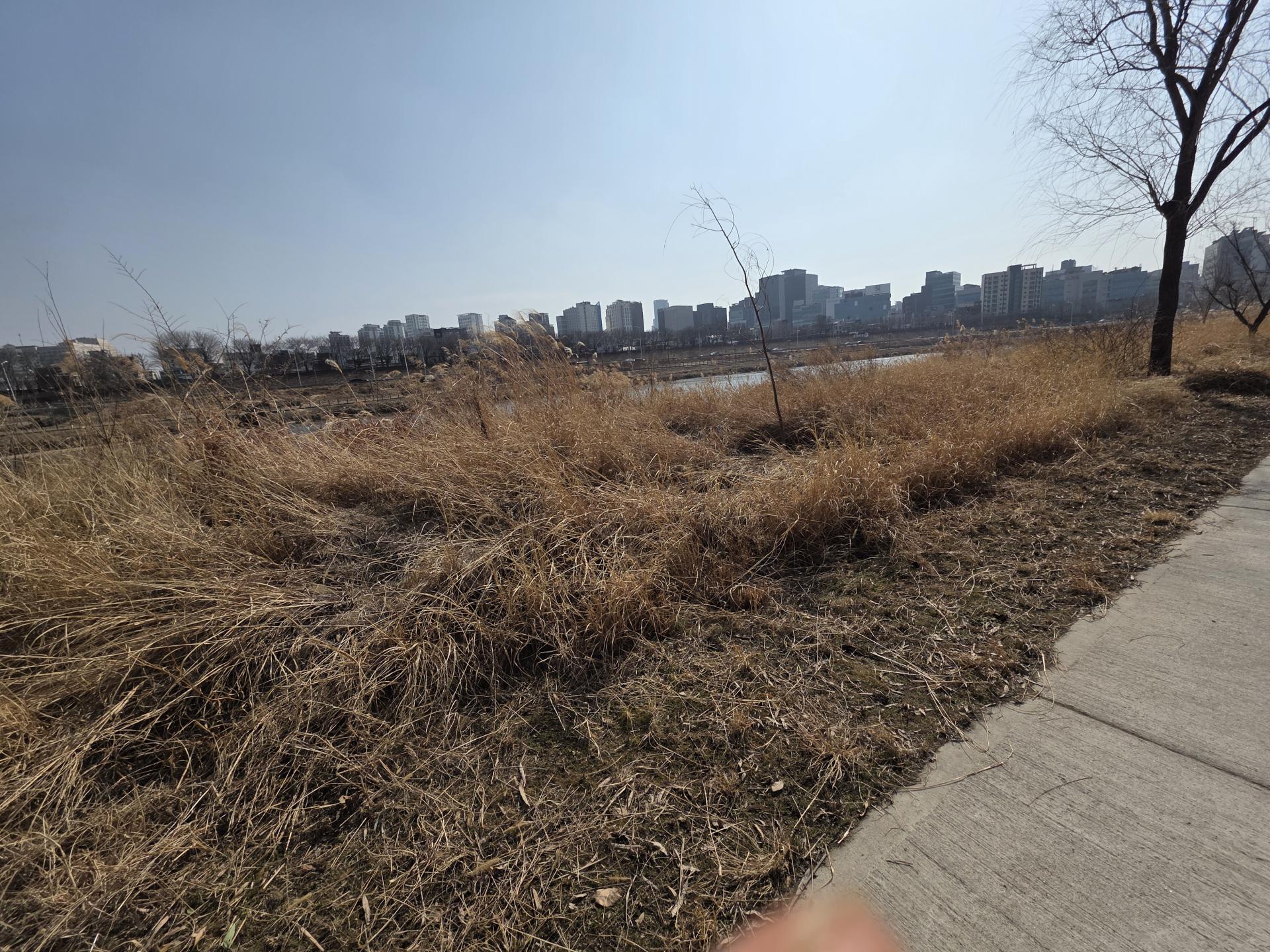 d4a369d8c2067.jpg