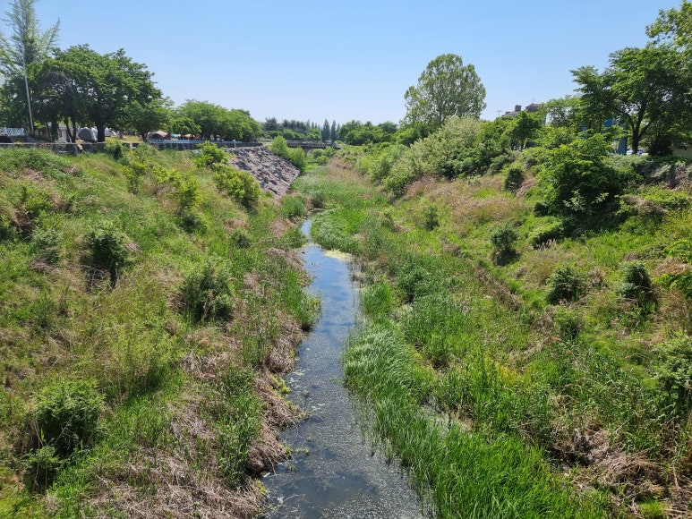 d64f449fb2c11.png