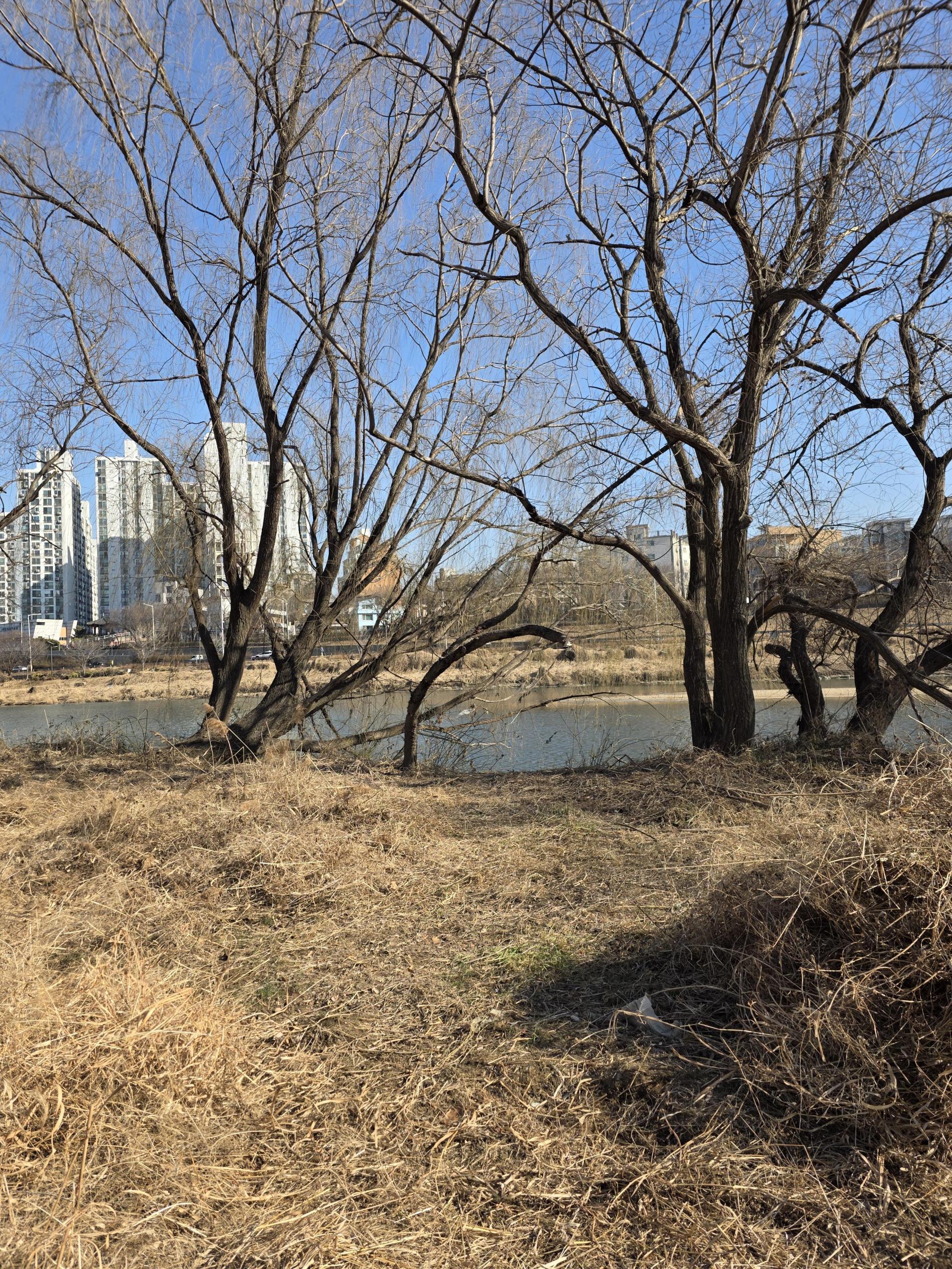 f09996ee5560a.jpg