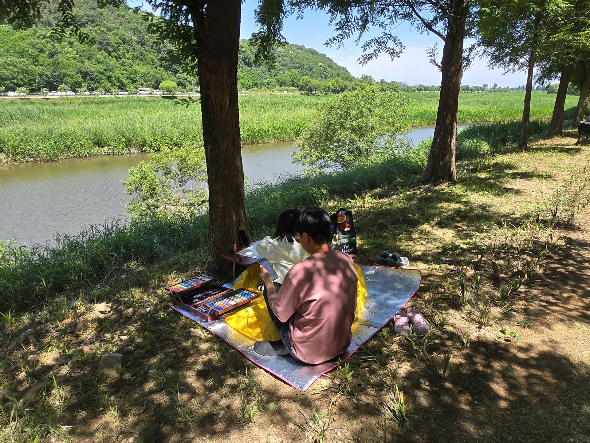 fe70abee07a73.jpg