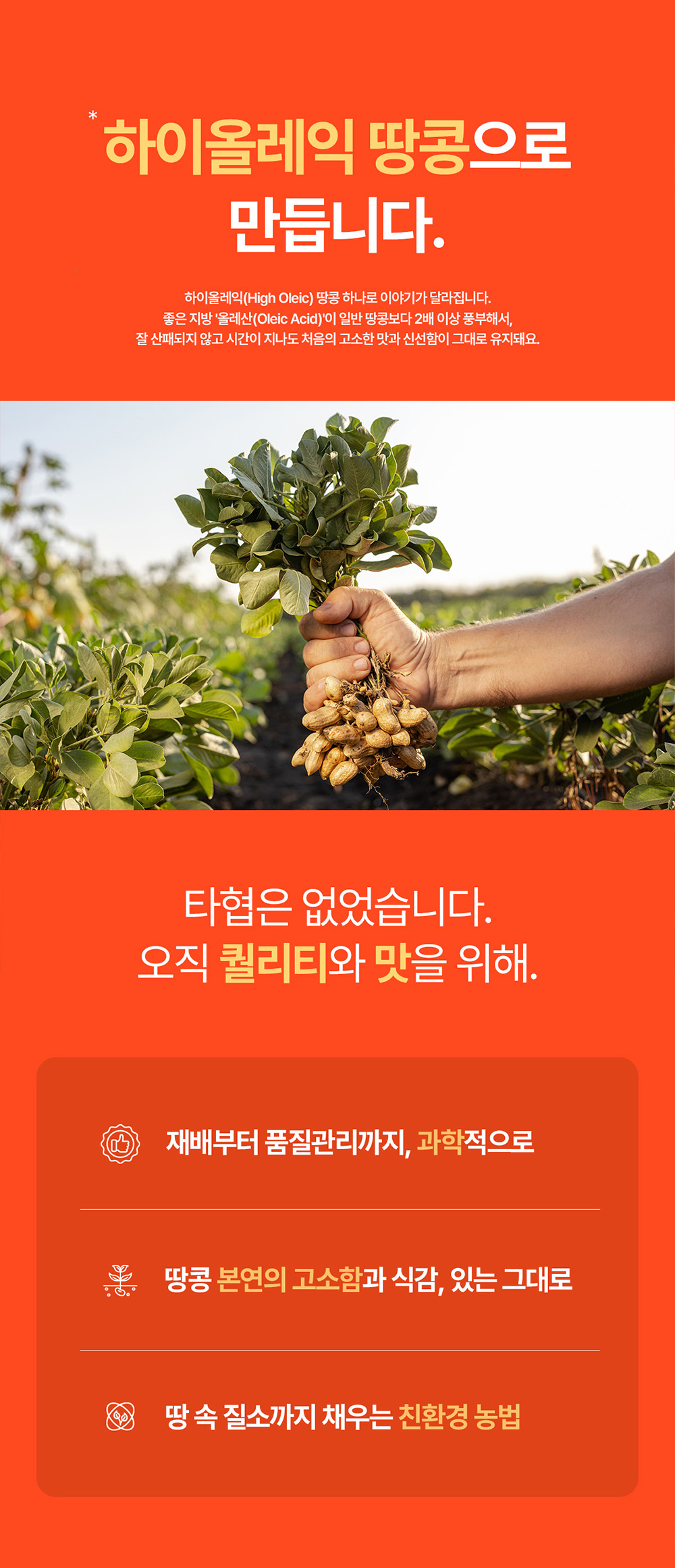 🥜빈크런치 땅콩버터 100% 플레인 스무스 스틱