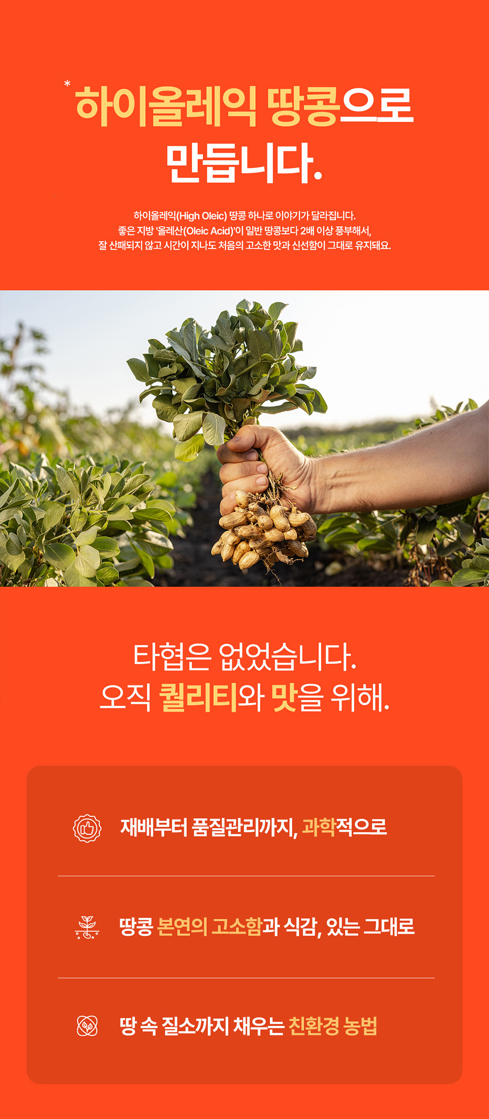 빈크런치 프로틴 땅콩버터 오리지널