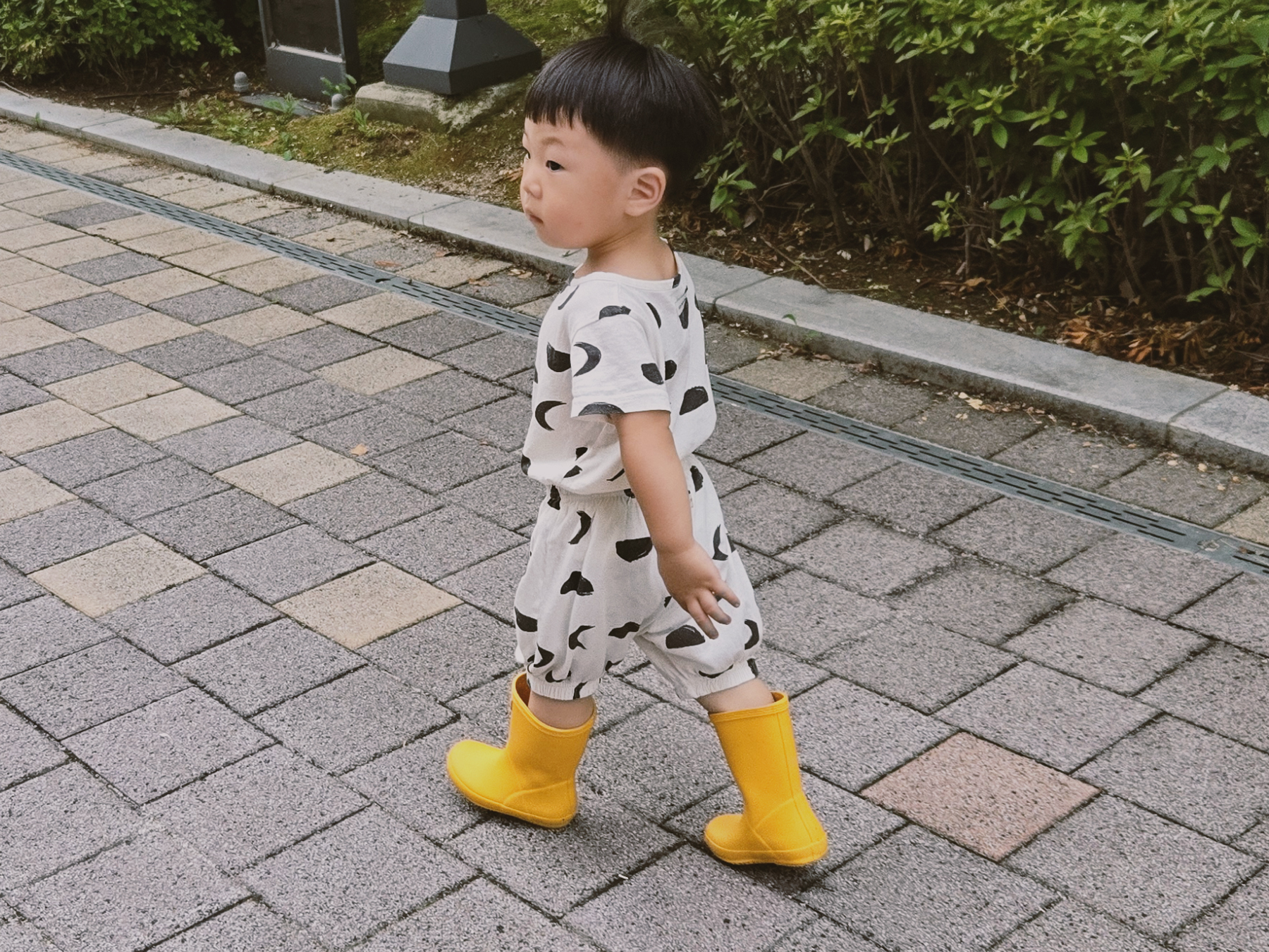달달 셋업
